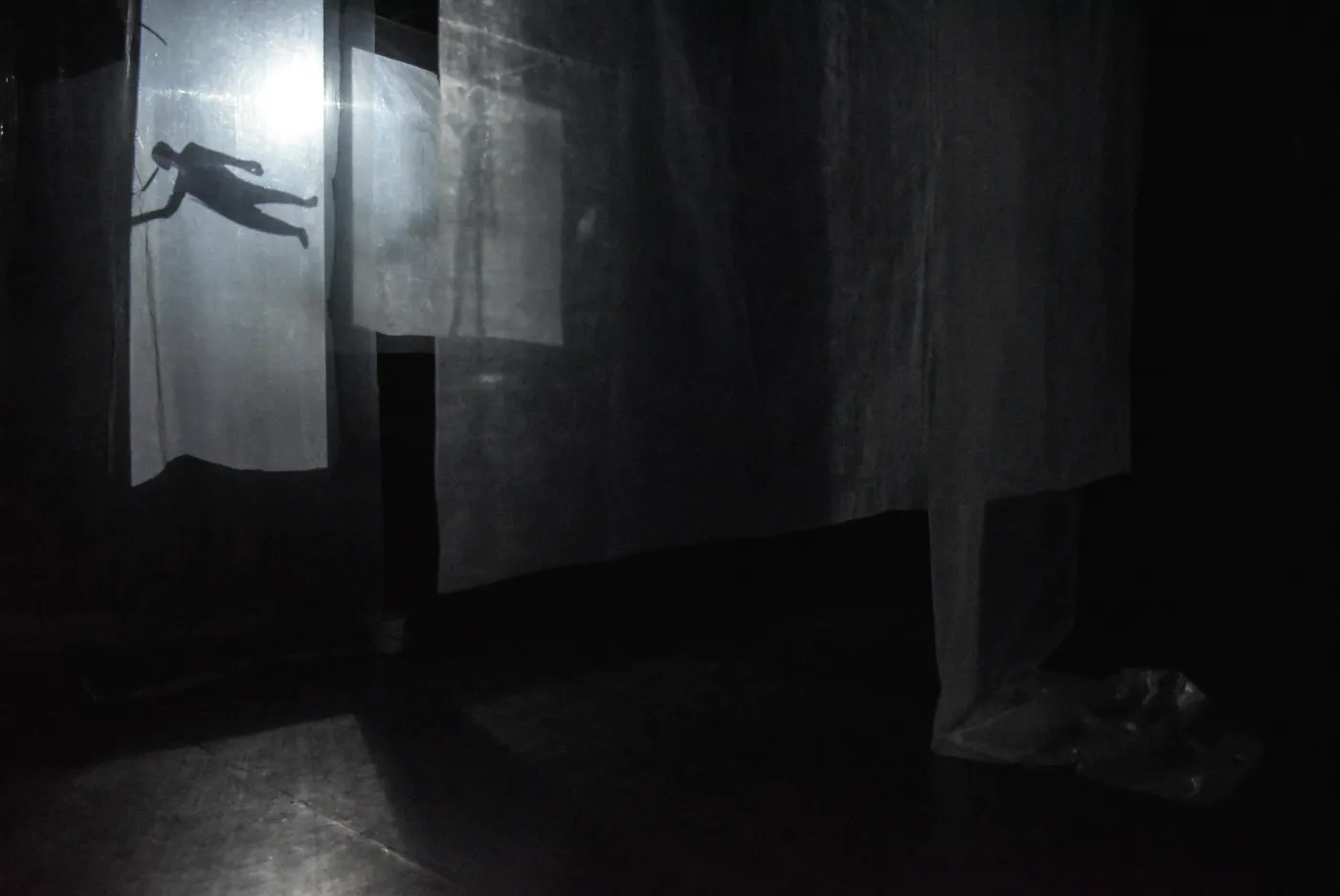A silhouette projected onto hanging fabric screens on the dark stage.