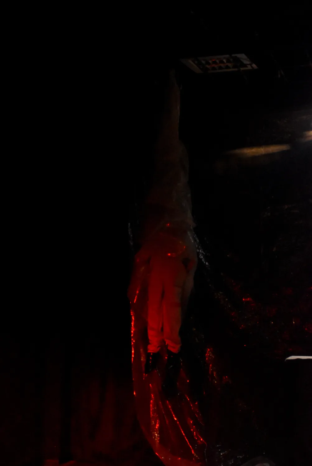 A performer lit in deep red, seen from behind against a dark backdrop.